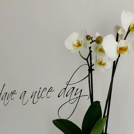 Gaestehaus Der Abtei Sayn מלון בנדורף