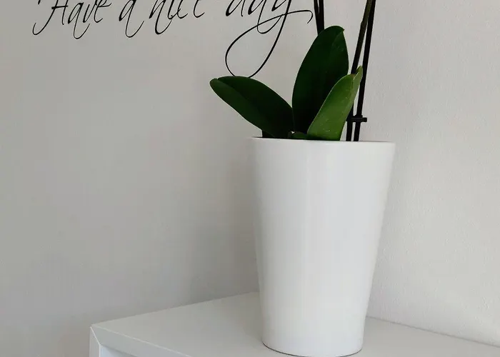 Gaestehaus Der Abtei Sayn 3*