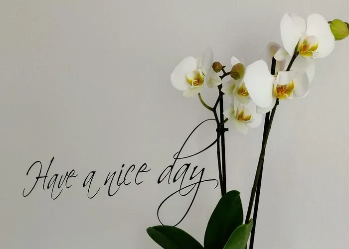 Gaestehaus Der Abtei Sayn Hotel Bendorf